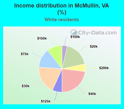 Income distribution in McMullin, VA (%)