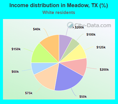 Income distribution in Meadow, TX (%)