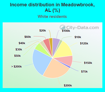 Income distribution in Meadowbrook, AL (%)