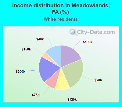 Income distribution in Meadowlands, PA (%)