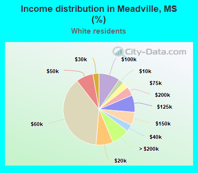 Income distribution in Meadville, MS (%)