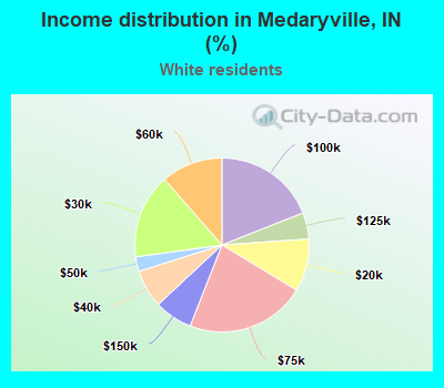 Income distribution in Medaryville, IN (%)