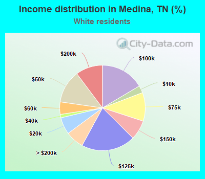 Income distribution in Medina, TN (%)