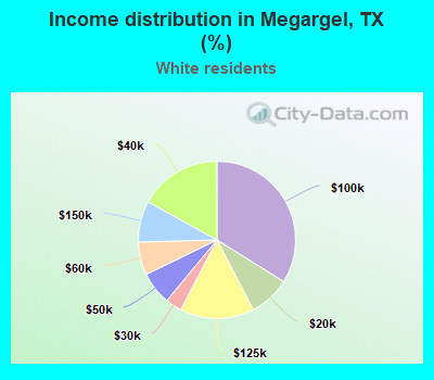 Income distribution in Megargel, TX (%)