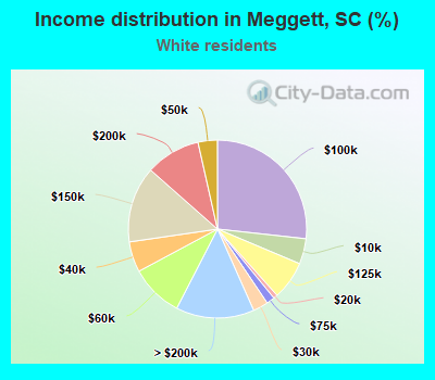 Income distribution in Meggett, SC (%)