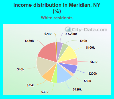 Income distribution in Meridian, NY (%)
