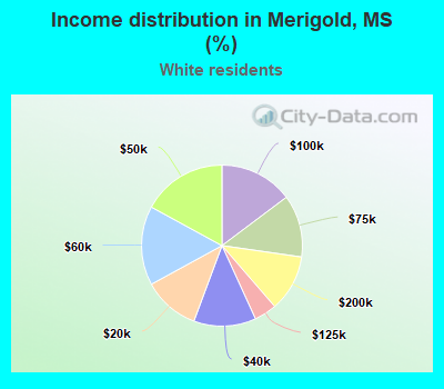 Income distribution in Merigold, MS (%)