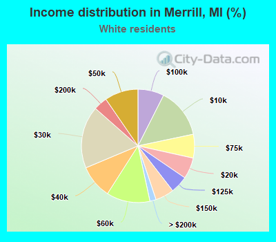 Income distribution in Merrill, MI (%)