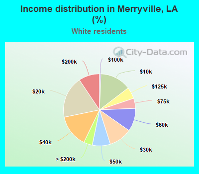 Income distribution in Merryville, LA (%)