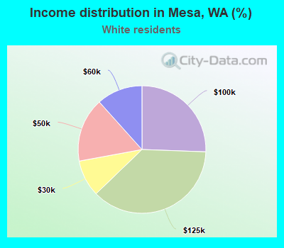 Income distribution in Mesa, WA (%)