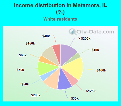 Income distribution in Metamora, IL (%)