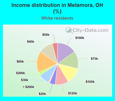 Income distribution in Metamora, OH (%)