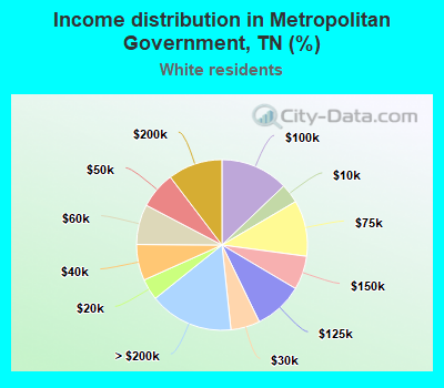 Income distribution in Metropolitan Government, TN (%)