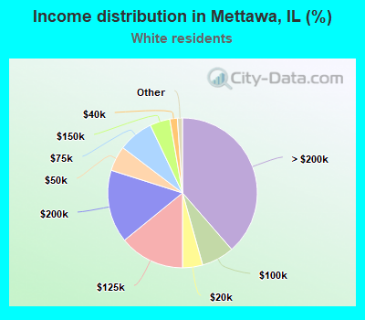 Income distribution in Mettawa, IL (%)