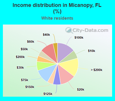 Income distribution in Micanopy, FL (%)