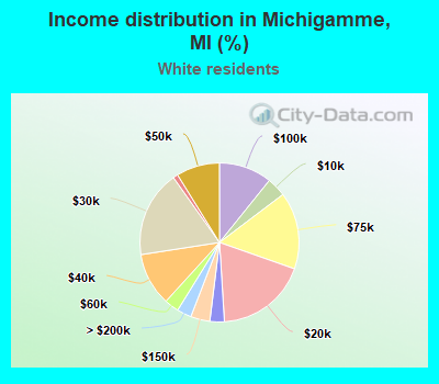 Income distribution in Michigamme, MI (%)