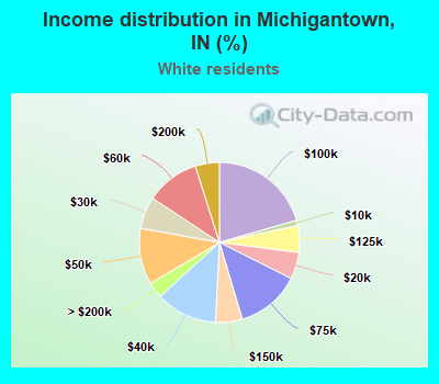 Income distribution in Michigantown, IN (%)