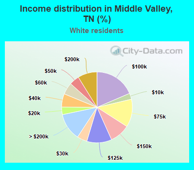 Income distribution in Middle Valley, TN (%)