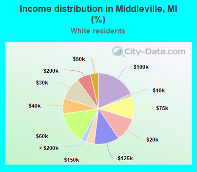 Income distribution in Middleville, MI (%)