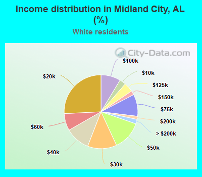 Income distribution in Midland City, AL (%)