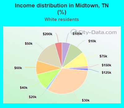 Income distribution in Midtown, TN (%)