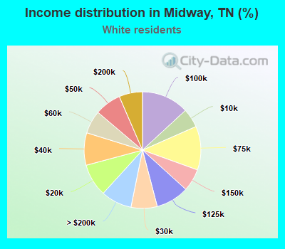 Income distribution in Midway, TN (%)