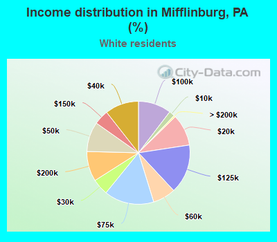 Income distribution in Mifflinburg, PA (%)