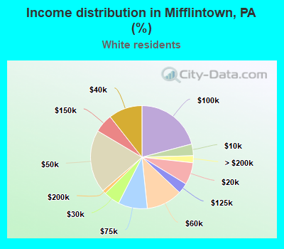 Income distribution in Mifflintown, PA (%)