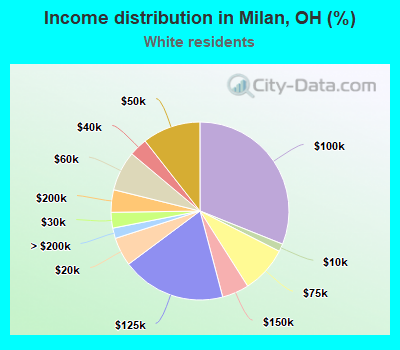 Income distribution in Milan, OH (%)