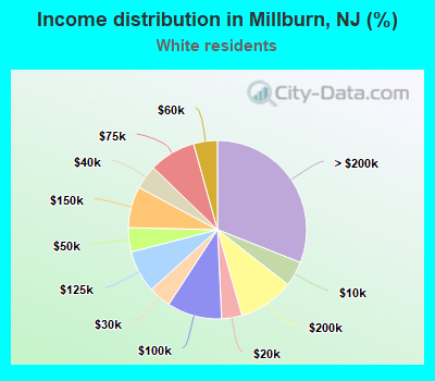 Income distribution in Millburn, NJ (%)