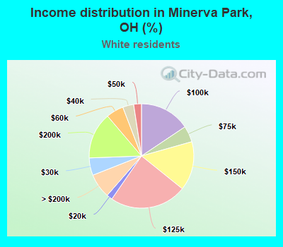 Income distribution in Minerva Park, OH (%)