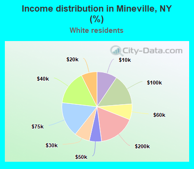 Income distribution in Mineville, NY (%)
