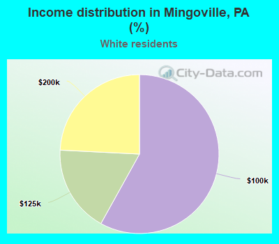 Income distribution in Mingoville, PA (%)