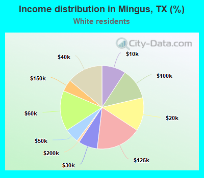Income distribution in Mingus, TX (%)