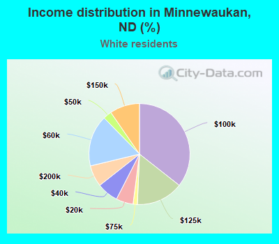 Income distribution in Minnewaukan, ND (%)
