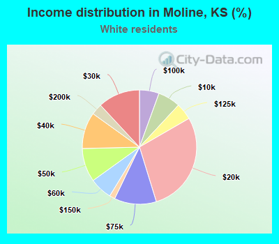 Income distribution in Moline, KS (%)