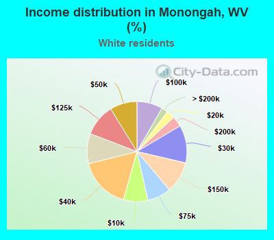 Income distribution in Monongah, WV (%)