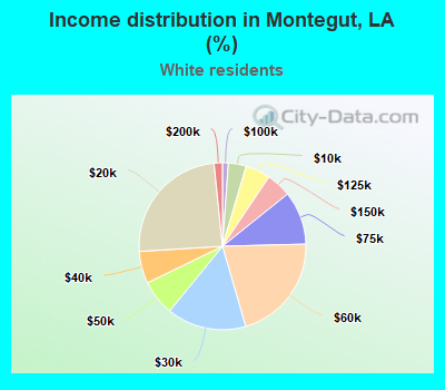 Income distribution in Montegut, LA (%)