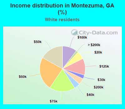 Income distribution in Montezuma, GA (%)