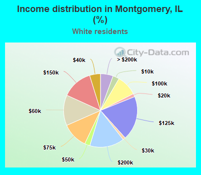 Income distribution in Montgomery, IL (%)