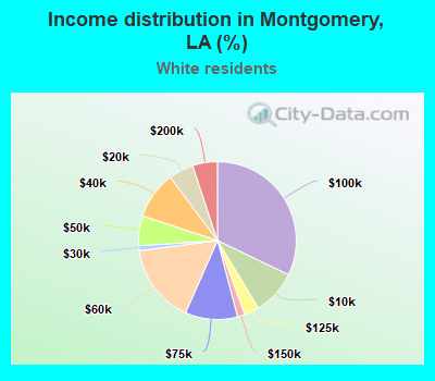 Income distribution in Montgomery, LA (%)