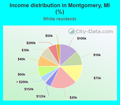 Income distribution in Montgomery, MI (%)