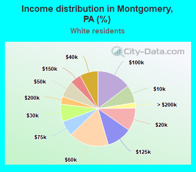 Income distribution in Montgomery, PA (%)