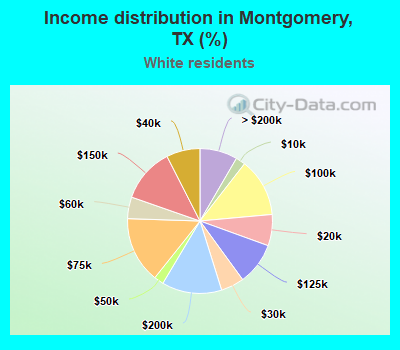 Income distribution in Montgomery, TX (%)