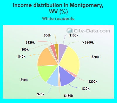 Income distribution in Montgomery, WV (%)