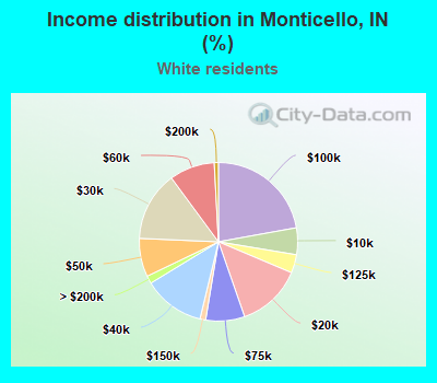 Income distribution in Monticello, IN (%)