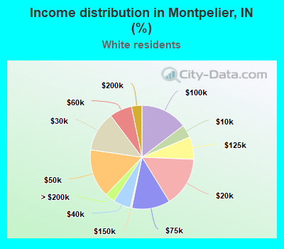 Income distribution in Montpelier, IN (%)