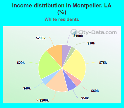 Income distribution in Montpelier, LA (%)