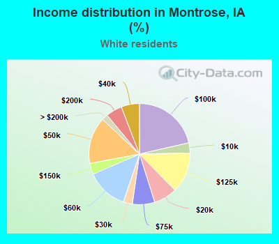 Income distribution in Montrose, IA (%)