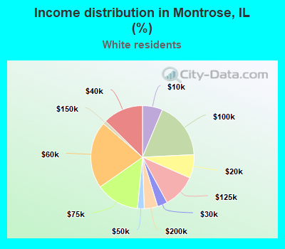 Income distribution in Montrose, IL (%)